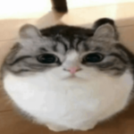 Testing_Testing Entertainment