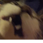 aE..