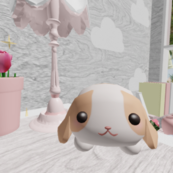 🌸💖 petals ✨🍓