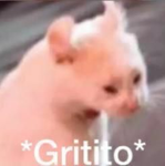 Noobsita XD