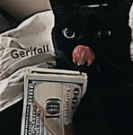 Gerifall Group Thumbnail