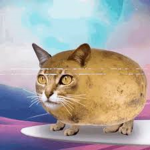 PotatoKat