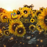 -My Lil Sunflowers-