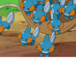 New Mudkip Order