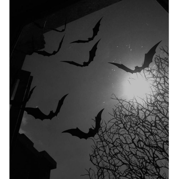 vampin