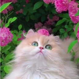 ♡