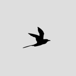 SPARO
