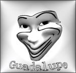 Guadalupe contraption store