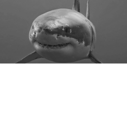 🦈 🦈 Easter update🦈🦈 shark edition 😀😀