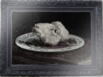 The Dead little lamb.