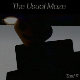 The Usual Maze [TEST]