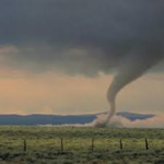 Twisty Twisters