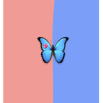 We_ luv_ axolotl‘s_ &_ butterflies