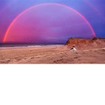 Hi, Have a nice day!!