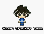 Young Cricket Team