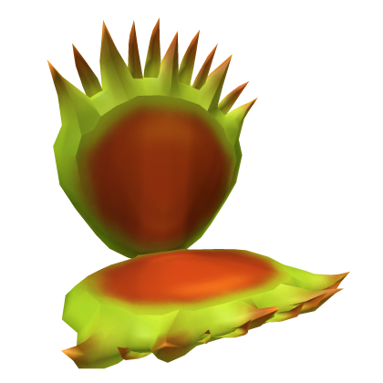 Venus Fly Trap