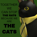 Cat's REINFORCED