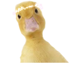 Dino page