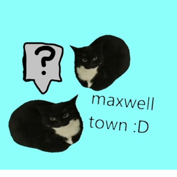 мaxwell city