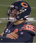 Go bears go studio