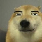 yiffu