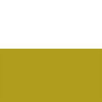 The Klngdom of Silesia