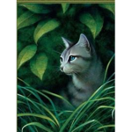 Warrior Cats Nation
