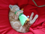 Kitty forever!
