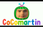COCOMARTIN GROUP