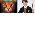 Harry Potter and Warrior cats fandom!
