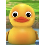 Ducky Ducksters