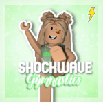Official Shockwave Gymnastics