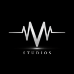 Vhaulic Studios