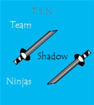 Team shadow ninja's