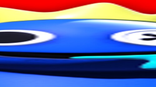 Hide