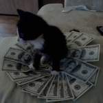 ¢ᅠ