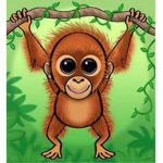 Baby Orangutans!!