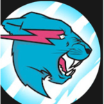 The Mr. beast guys