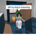 MEME family(;