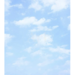 ~cloud 9~