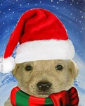Santa comunity