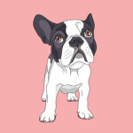 French bulldog fam