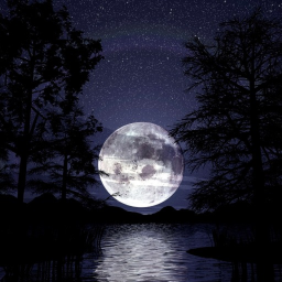 Rainy Night...