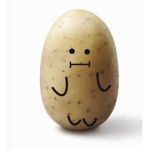 Potato’s that definitely make games about potato’s