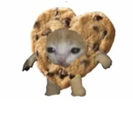 MiAmore