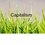 Blades Of Grass