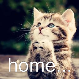 (: Home :)