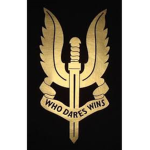infantry forces