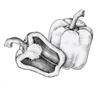 Little peppers ##