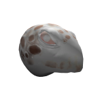 Albino Turtle Head